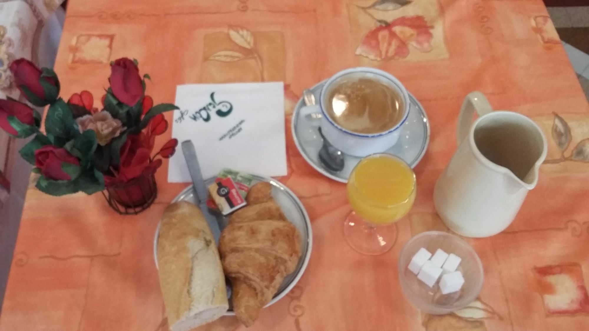 Du Viscos Hotel Lourdes